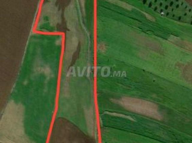 Propriété vente à Ksiba