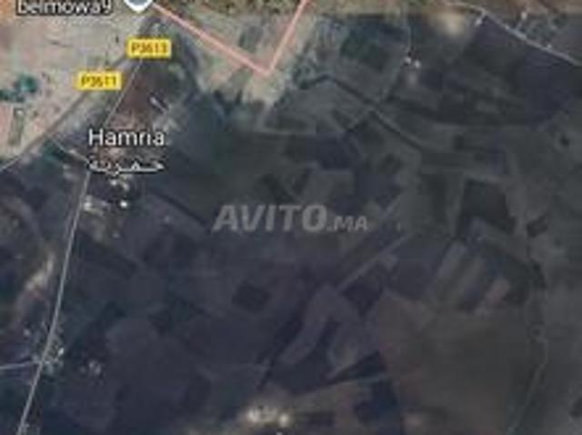 Propriété vente à Berrechid, Gharb-Chrarda-Beni Hssen
