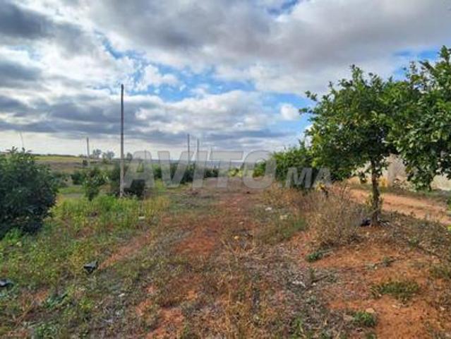 Propriété vente à Tata, Oued ed Dahab-Lagouira