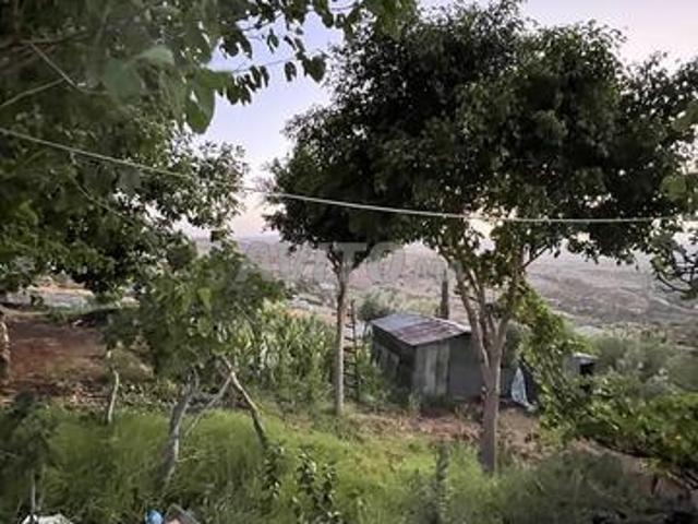 Propriété vente à Jebala, Tanger-Tétouan