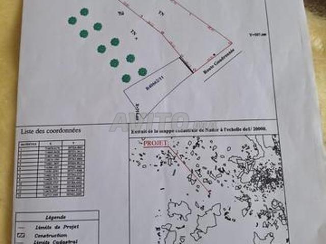 Propriété vente à Nador