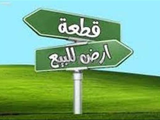 Propriété vente à Saf, L'Oriental