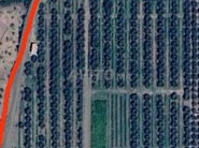 Propriété vente à Tassoultante, L'Oriental