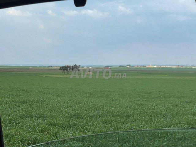 Propriété vente à Settat, Gharb-Chrarda-Beni Hssen