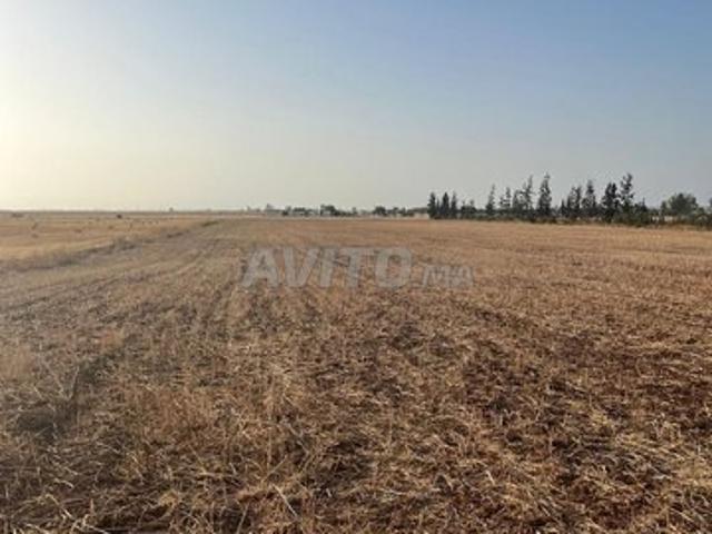 Propriété vente à Nouaceur, Gharb-Chrarda-Beni Hssen