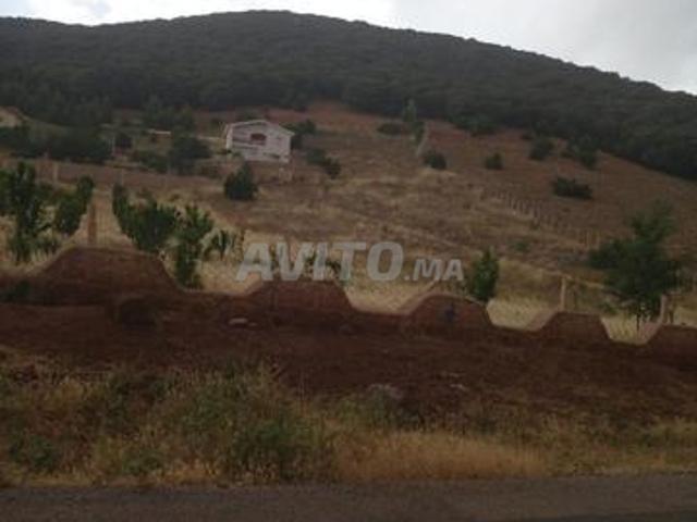 Propriété vente à Ifrane