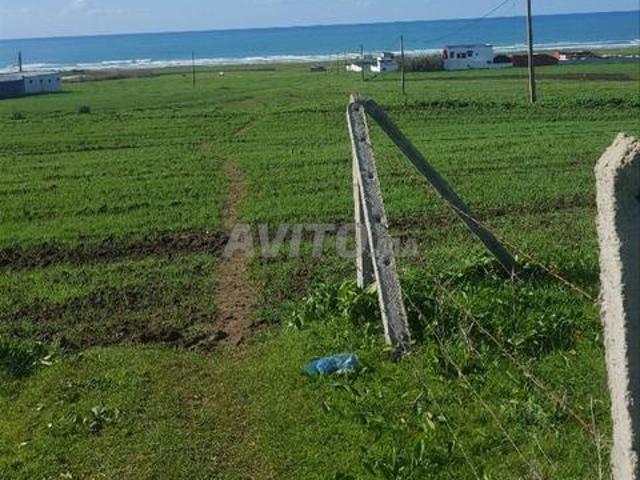 Propriété vente à Assilah, Tanger-Tétouan