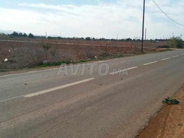 Propriété vente à Saida