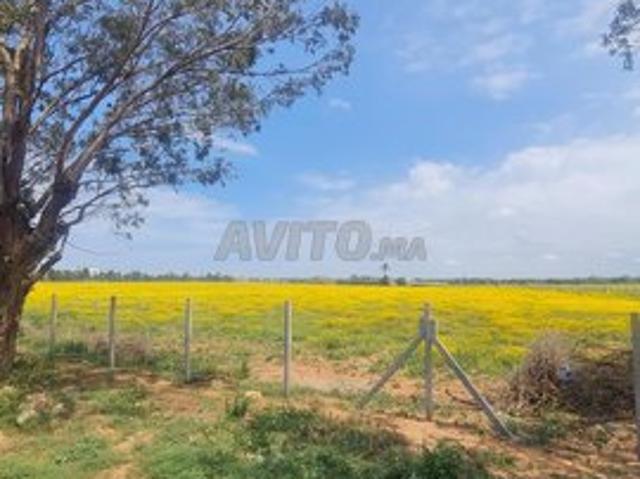 Propriété vente à El Ma, Gharb-Chrarda-Beni Hssen