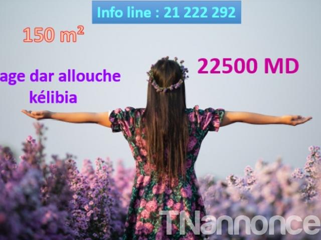 Terrain vente