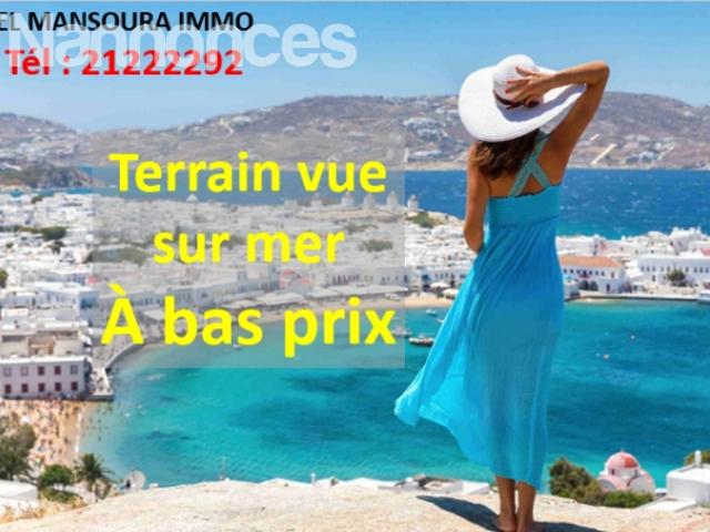 Terrain vente