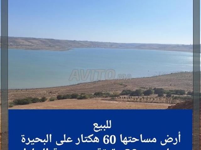 Propriété vente à Hay Riad, Berkane