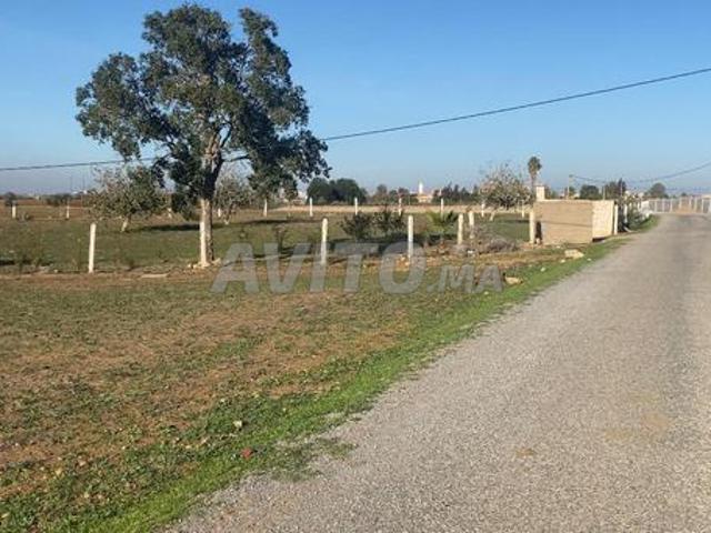 Propriété vente à Sidi Allal El Bahraoui