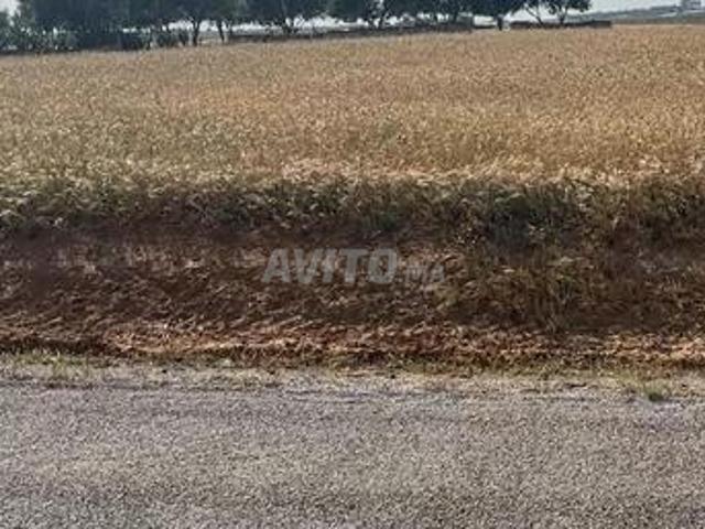 Propriété vente à Lyautey