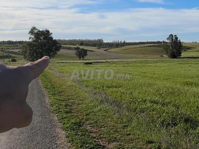 Propriété vente à Lyautey