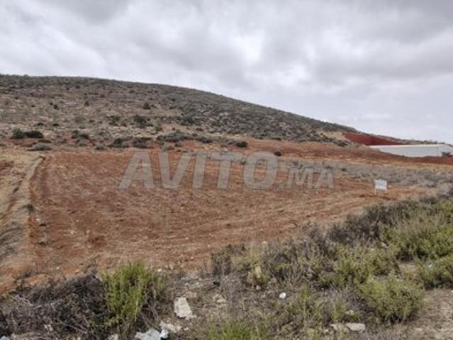 Propriété vente à Al Hoceïma, Tanger-Tétouan
