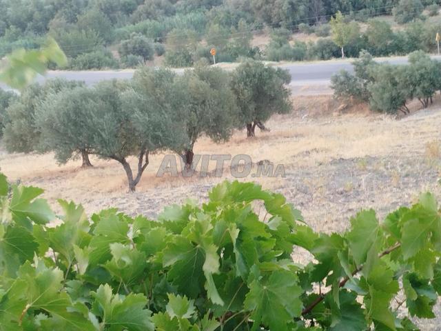 Propriété vente à Tasa