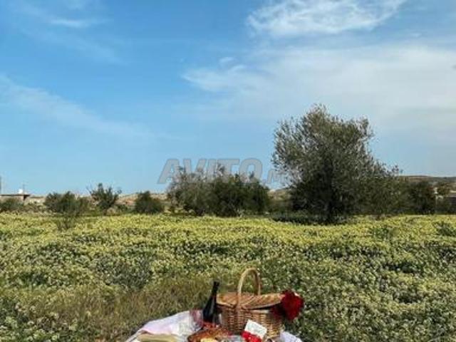 Propriété vente à Chauen, Tanger-Tétouan