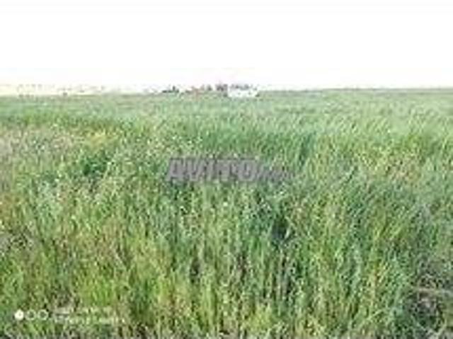 Propriété vente à Bir Jdid ⴱⵉⵔ ⵊⴷⵉⴷ البير الجديد, Province d'El Jadida إقليم الجديدة
