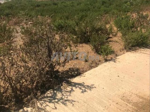 Propriété vente à Tétouan, Tanger-Tétouan