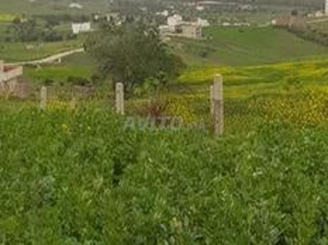 Propriété vente à Tétouan, Tanger-Tétouan