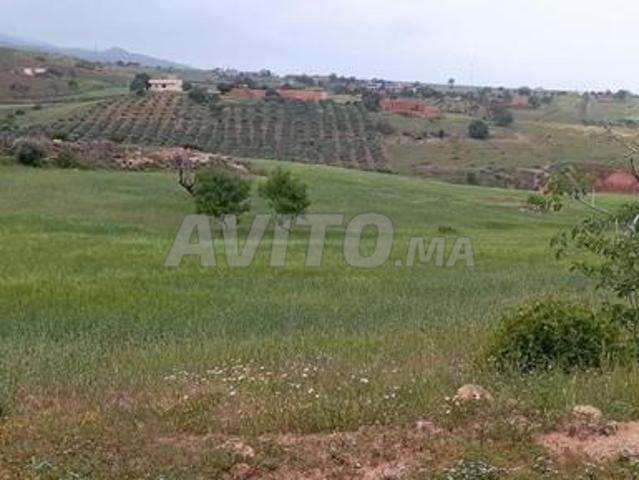 Propriété vente à Nador