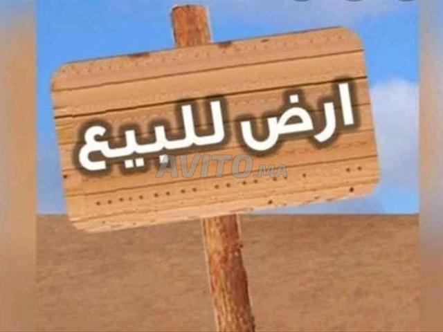 Propriété vente à Nador