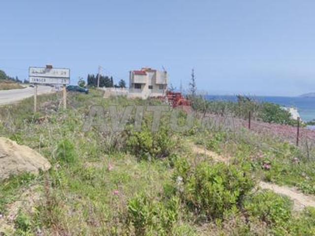 Propriété vente à El Fahs, Tanger-Tétouan