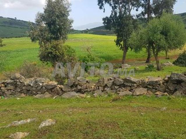 Propriété vente à Tétouan تطوان, Province de Tétouan إقليم تطوان