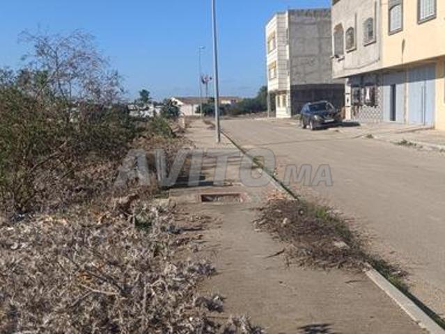 Propriété vente à Sidi Qacem