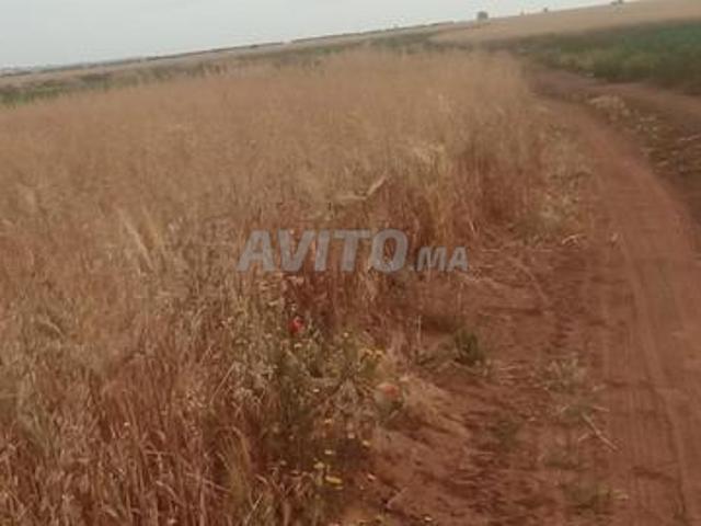 Propriété vente à El Ma, Gharb-Chrarda-Beni Hssen