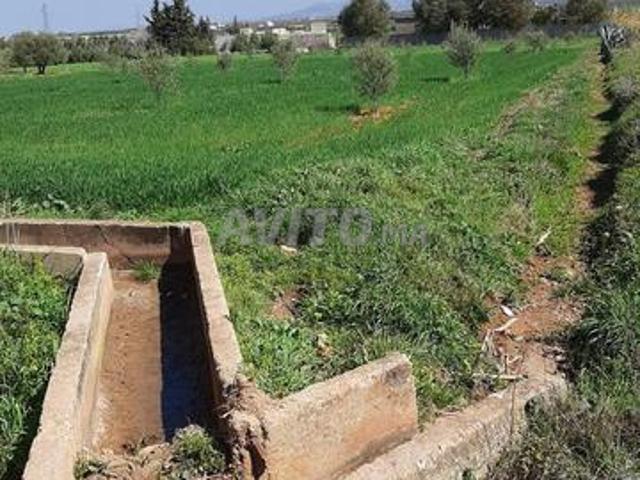 Propriété vente à Ain Cheggag