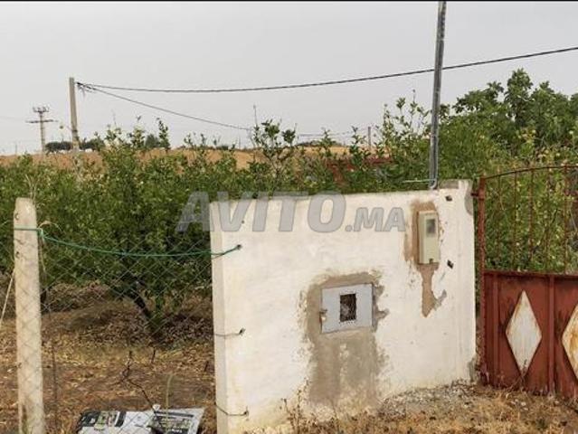Propriété vente à Sidi Allal El Bahraoui