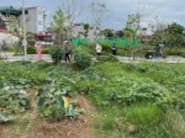 Bất động sản bán tại Hà Nội