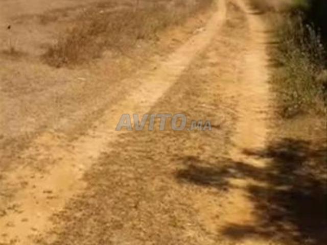 Propriété vente à Ouarzazate