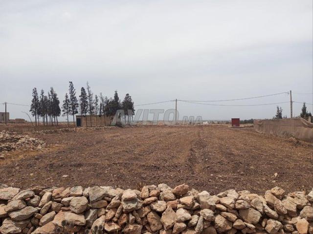 Propriété location à Hay Riad, Berkane