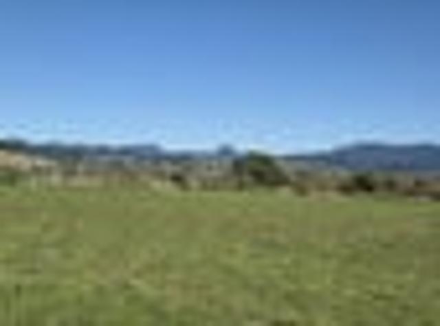 Land for sale in Matarangi, Waikato