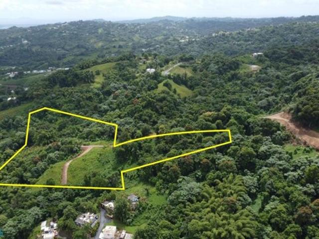 Land for sale