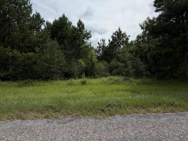 Farm for sale in Lumberton, Mississippi