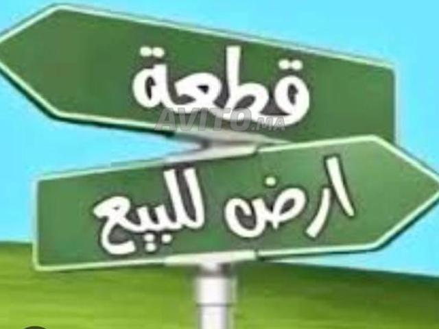 Propriété vente à Beni Enzar