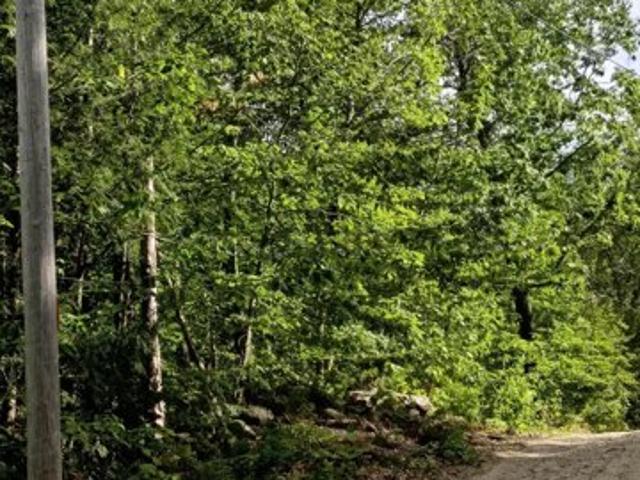 Land for sale in Parsonsfield, Maine