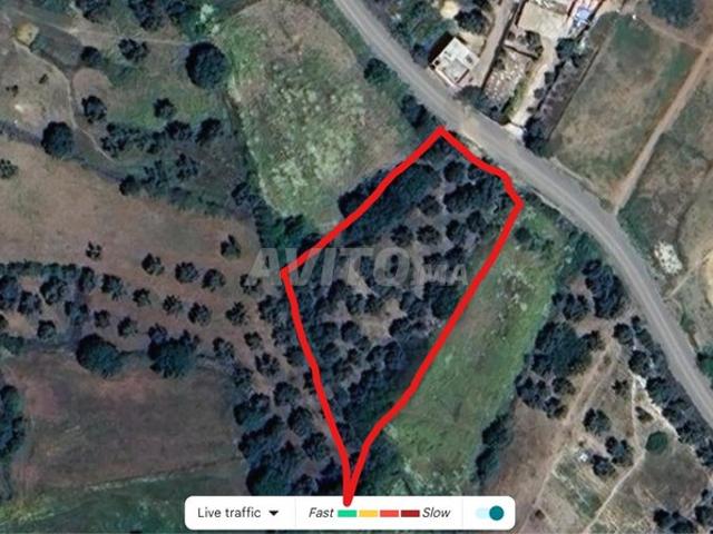 Propriété vente à Khémisset