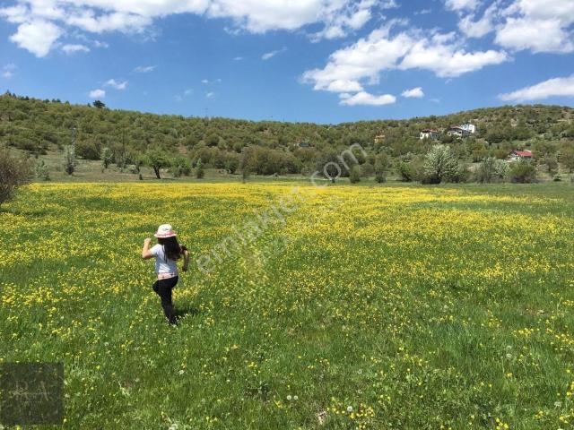 Çamlidere, Ankara içerisinde satılık Villa