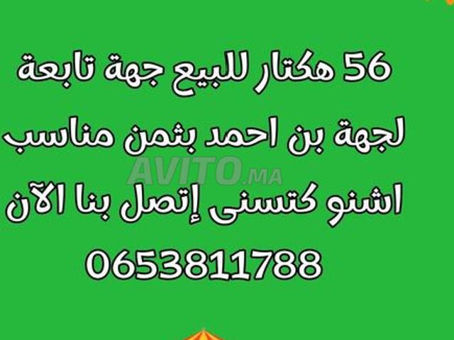 Propriété vente à Ben Ahmed, Gharb-Chrarda-Beni Hssen