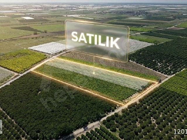 Tarsus, Mersin içerisinde satılık mülk
