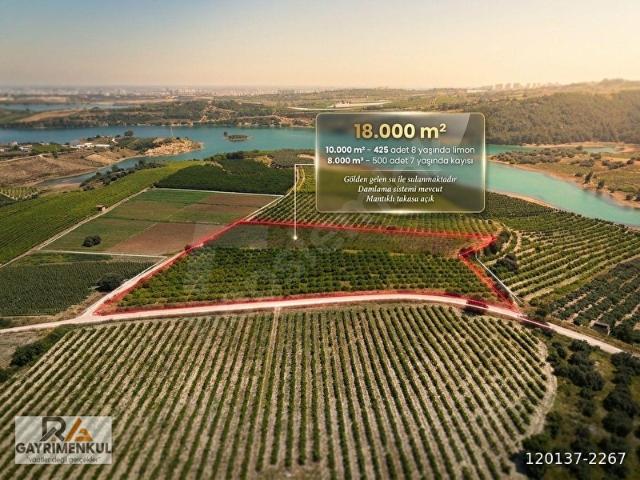 Tarsus, Mersin içerisinde satılık mülk