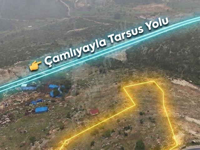 Sarıkavak, Çamlıyayla içerisinde satılık Arsa