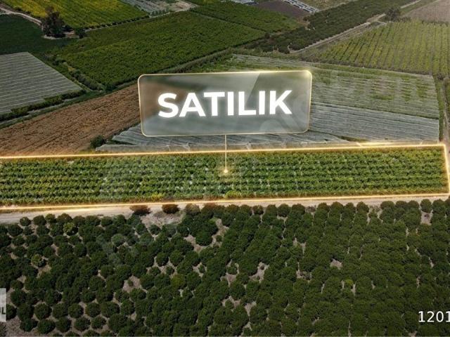 Tarsus, Mersin içerisinde satılık mülk