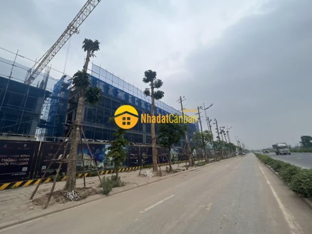 Biệt Thự bán