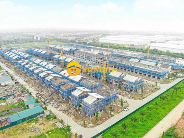 Biệt Thự bán
